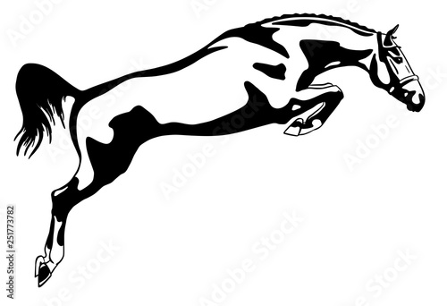 Obraz na plátne A logo of a jumping horse.