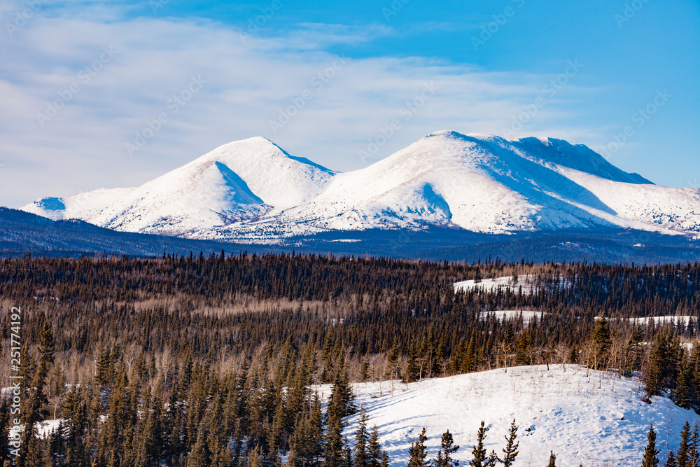Winter mountain landscape of boreal forest taiga wilderness of Yukon Territory, Canada, north of Whitehorse