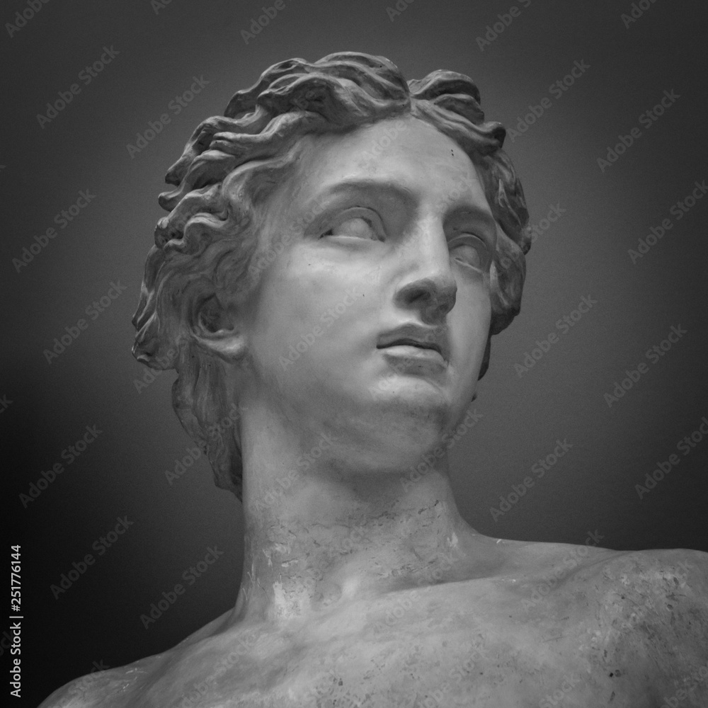 Fototapeta Ancient marble portrait bust. Head man statue. Antique sculpture