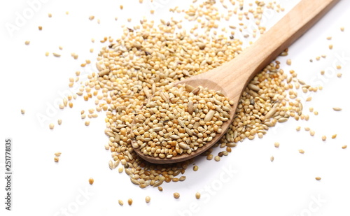 Mixed bird seeds, millet pile with wooden spoon isolated on white background