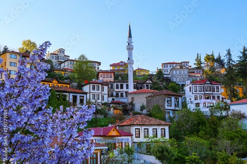 old trabzon houses turkey ( life style)