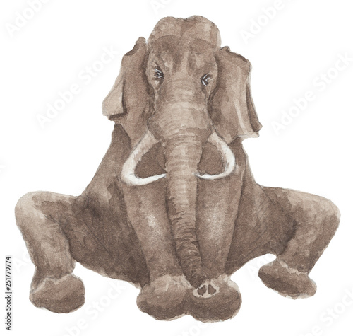 Watercolor illustration - sitting alone elephant