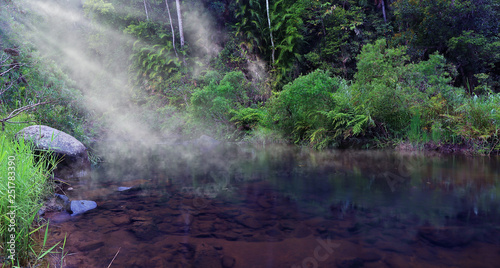  Pristine magnificent river runs  along  a beautiful tropical rainforest. The South Johnstone River in the Misty Mountains. Wooroonooran National Park, Far North Queensland, Australia. Image.  photo