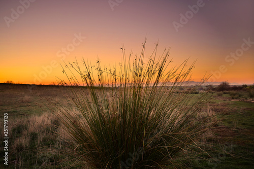 Cielo al atardecer en el mundo rural
