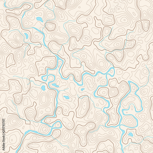 Vector abstract topography map with river and lakes. Concept background.