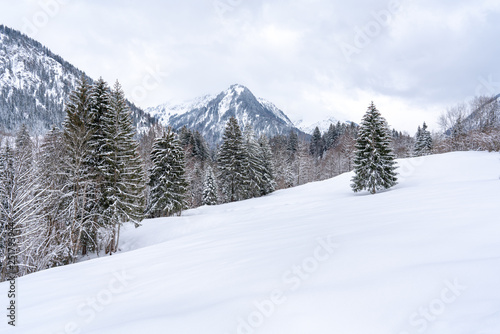 Snow covered landscape near Oberstdorf, Bavaria, Germany.