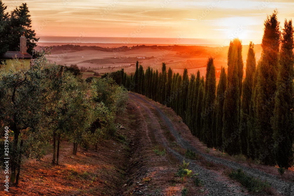 Tuscany, landscape, sunset, travel, nature