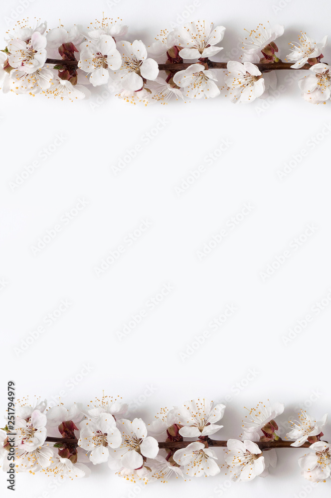 branches of white apricot flowers and a sheet of paper, Spring holiday card branches of white apricot flowers and a sheet of paper, Spring holiday card