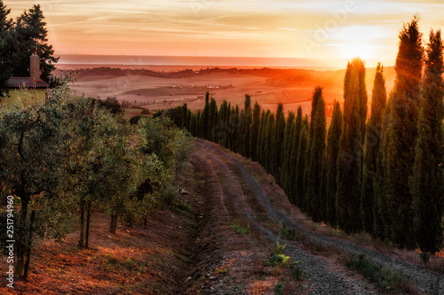 Tuscany, landscape, sunset, travel, nature