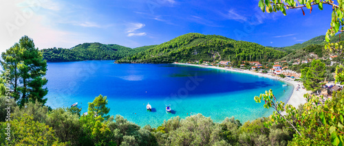 Fototapeta Naklejka Na Ścianę i Meble -  Best beaches of Skopelos - beautiful Panormos bay. Sporades island of Greece