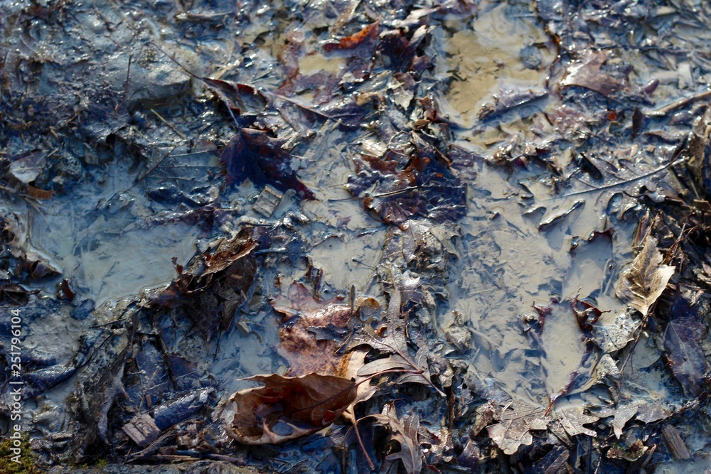 A close view of the wet leaves and the mud in the puddle.