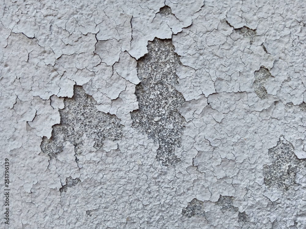 Obraz premium texture of old wall