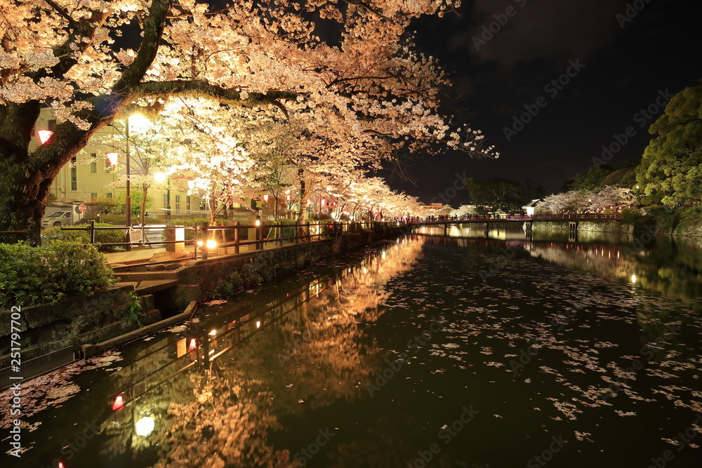 夜桜風景