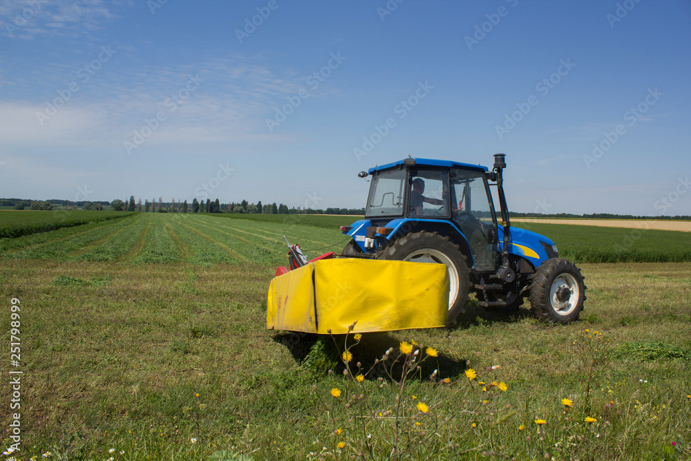 Fototapeta premium Universal tractor harvesting straw in the field in sunny day