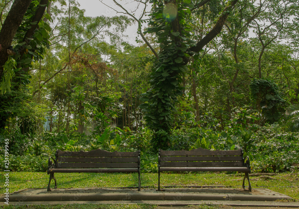 Bench located by walkway Under the big tree in the park Bench located by walkway Under the big tree in the park