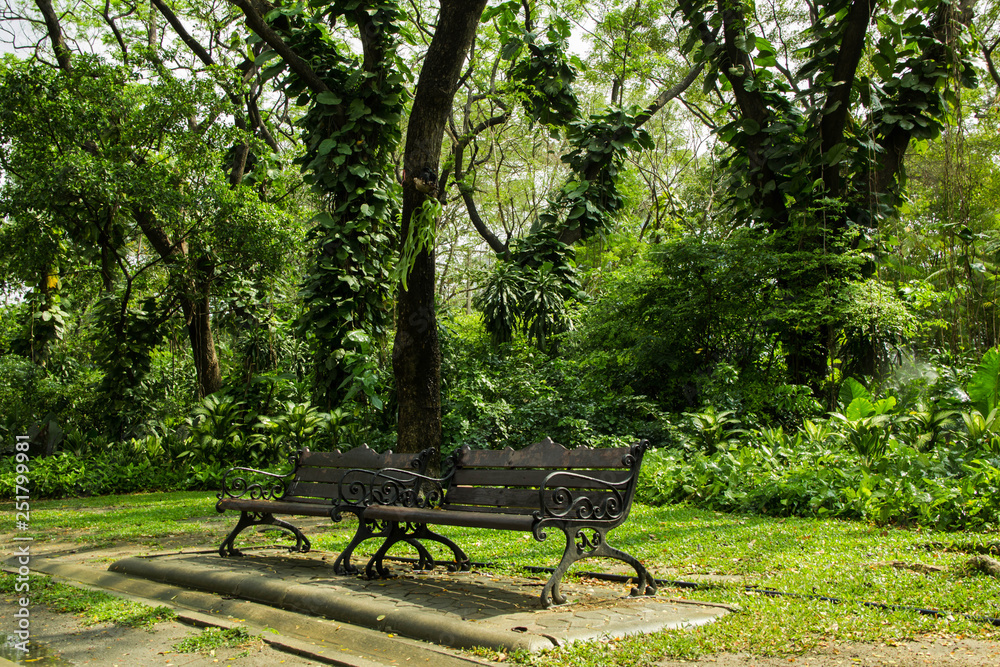 Bench located by walkway Under the big tree in the park Bench located by walkway Under the big tree in the park