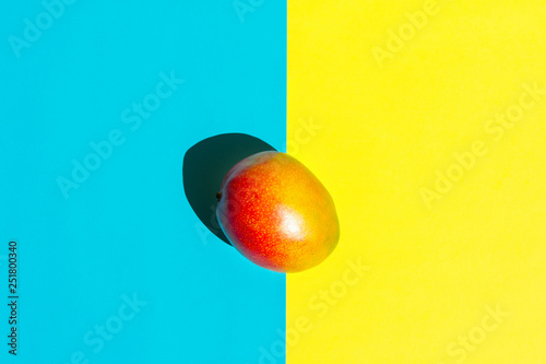 Ripe colorful juicy red mango on duotone yellow blue background. Trendy creative food poster in funky pop art style with long hard shadows bright sunlight. Tropical vacation theme. Copy space