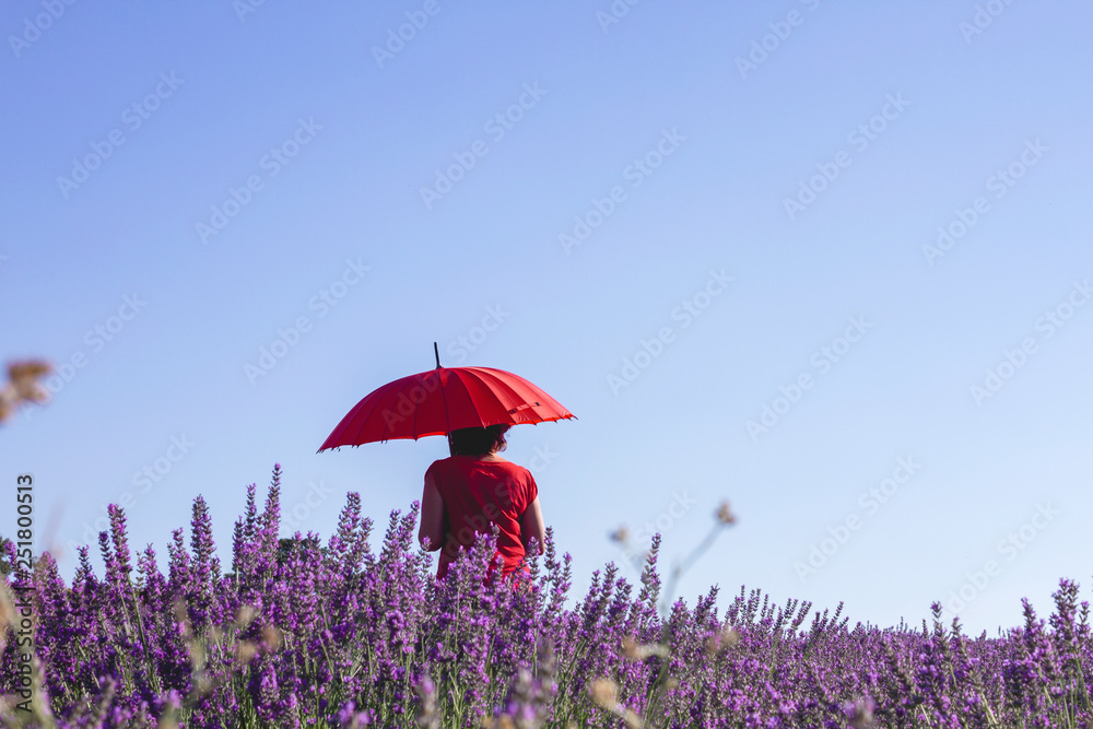 Lonely woman with red umbrella among the violet lavender flowers in the countryside