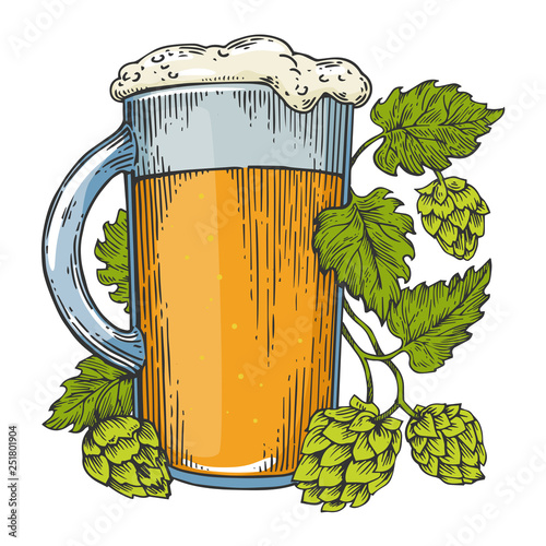 Beer mug and hops plant color sketch engraving vector illustration. Scratch board style imitation. Black and white hand drawn image.