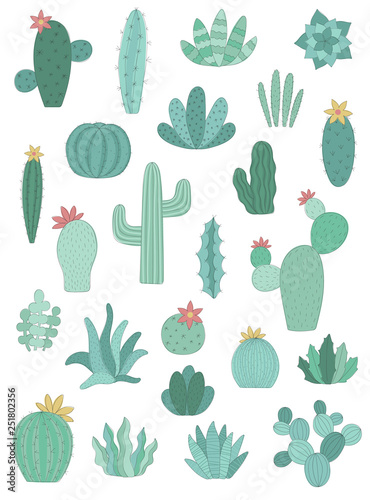 Vector set of green cacti. Hand-drawn illustration of a cactus in scandinavian style. Summer collection for decor, card, home, interior, print, poster, banner, baby, children