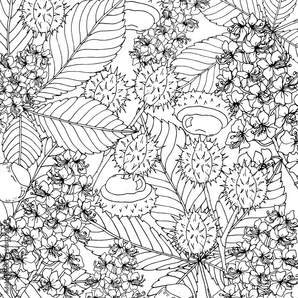 Doodle floral chestnut background in vector with doodles black and white coloring page Doodle floral chestnut background in vector with doodles black and white coloring page