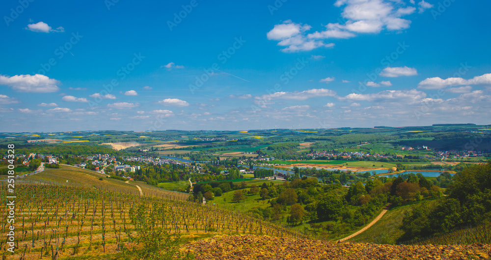 Fields of vineyards in Luxembourg on a Sunny day