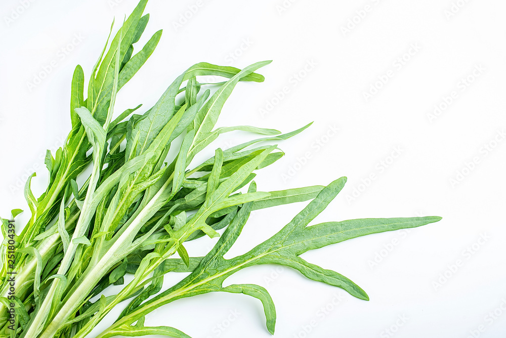 Fototapeta premium Fresh bitter lettuce leaves