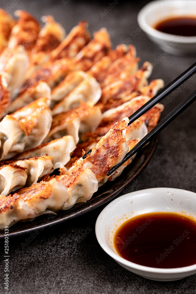 Fotografie 餃子