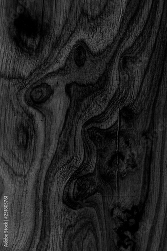Abstract black wood panel texture background