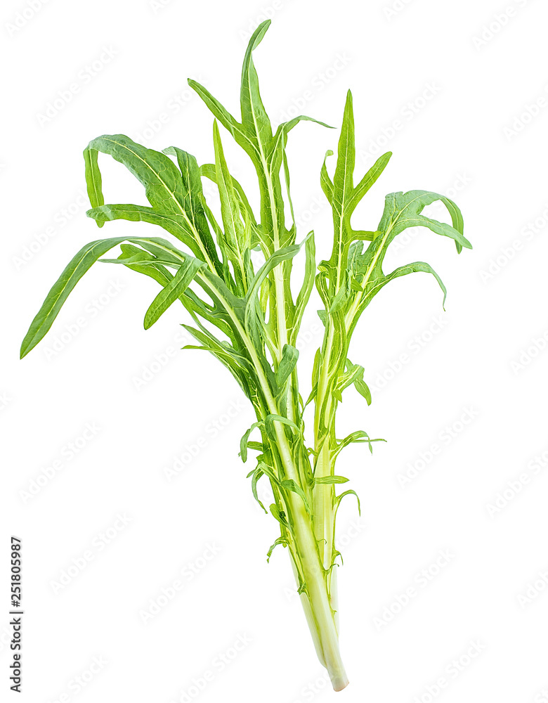 a fresh bitter wheat a fresh bitter wheat