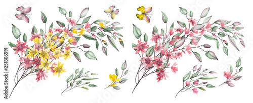 watercolor drawing of twig with leaves and flowers. Botanical illustration .An arrangement of pink flowers and wild herbs.