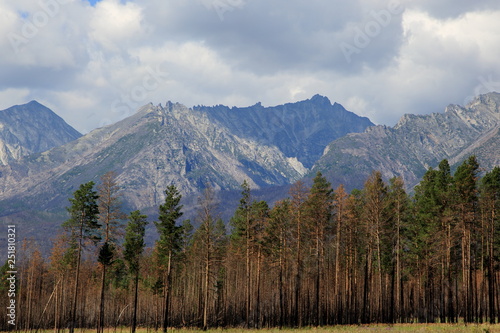 The mountains of the Barguzin mountains, this valley of the Barguzin river Steppe in the floodplain of the Barguzin river, then-birch forest belt, and behind it-the mountains of Barguzin ridge and the