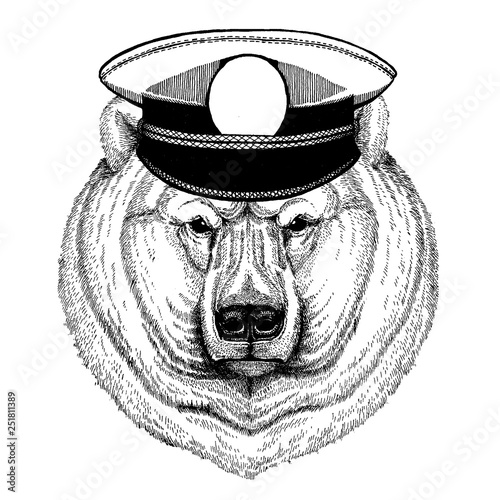 Big polar bear, White bear Hand drawn illustration for tattoo, t-shirt, emblem, badge, logo, patch
