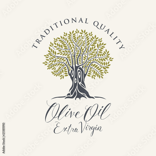 Vector banner or label for extra virgin olive oil with decorative olive tree and handwritten inscriptions on light background in retro style