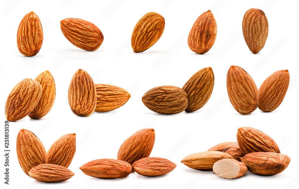 Isolated of almonds nut collection on white background. Clipping path -Image. Isolated of almonds nut collection on white background. Clipping path -Image.