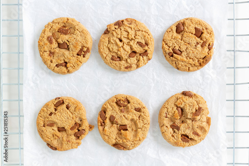 Six pieces of chocolate chip cookies separately on a white background.
