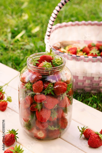 Juicy strawberries in baskeglass jar t in garden, summer in village, farm, harvesting berries.