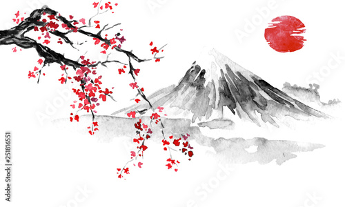 Japan traditional sumi-e painting. Indian ink illustration. Japanese picture. Sakura, sun and mountain