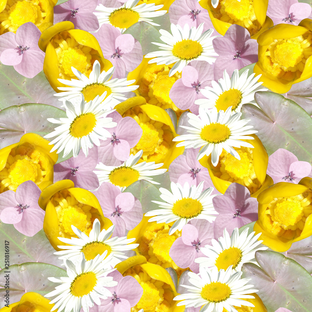 Beautiful floral background of daisies, water lilies and hydrangeas Beautiful floral background of daisies, water lilies and hydrangeas