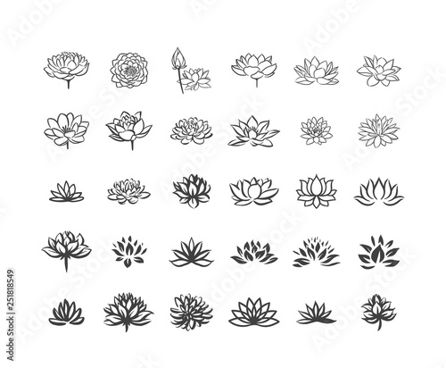 Vector illustration concept of Abstract vector lotus flower symbol icon on white background