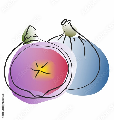 vector illustration of figs