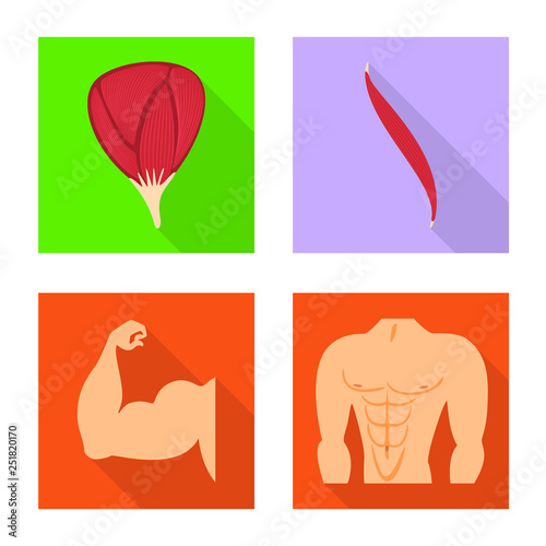 Isolated object of muscle and cells symbol. Collection of muscle and anatomy vector icon for stock.