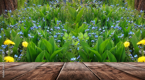Spring background table.