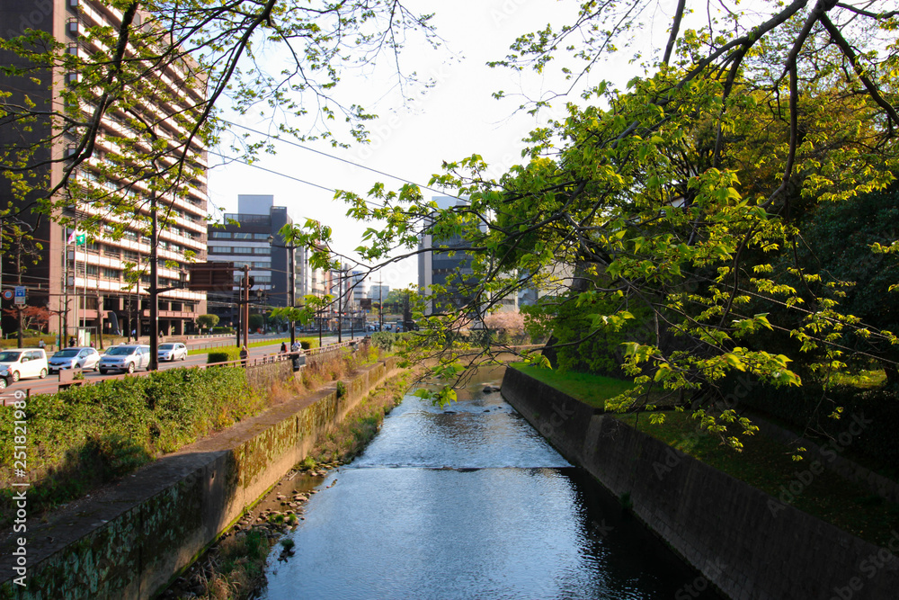 The image of the Tsuboi river in city centre of Kumamoto, Kyushu, Japan