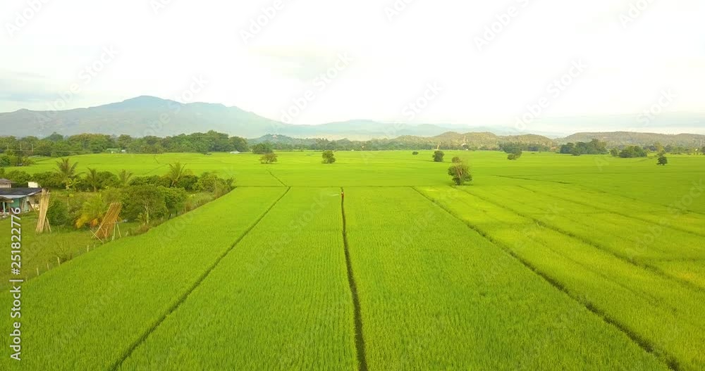 Aerial view agricultural farming land while farmer spray insecticide herbicide chemicals. The concept work of a farmer with toxins. Aerial view agricultural farming land while farmer spray insecticide herbicide chemicals. The concept work of a farmer with toxins.