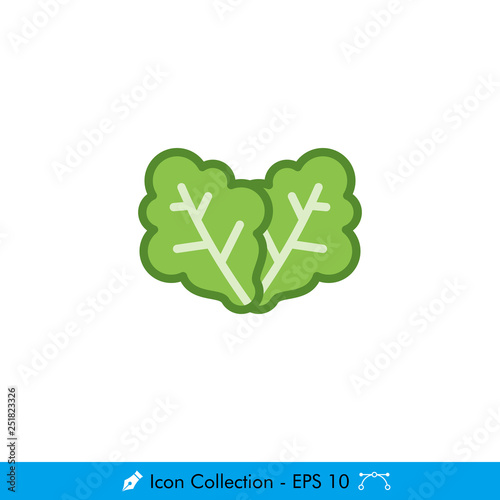 Lettuce Icon / Vector - In Color Design