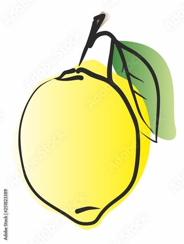 illustration of a lemon