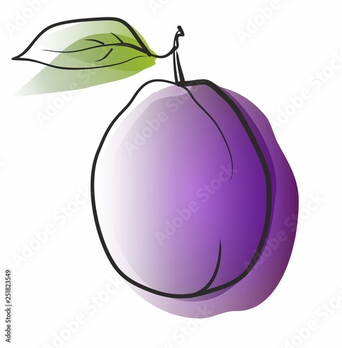 vector illustration of a plump