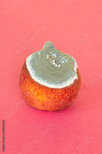 Close up of moldy peach