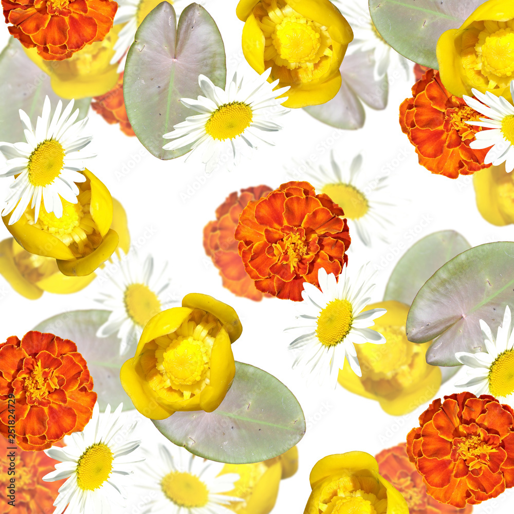 Fototapeta premium Beautiful floral background of water lilies, daisies and carnations 